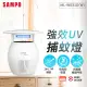 【SAMPO聲寶】ML-W031D-W 強效UV捕蚊燈-家用型(白) 防蚊燈/捕蚊燈