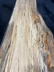 Live Edge Black Line Spalted Hard Maple Board Craft Project Lumber 34”x13”x11/16