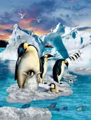 SunsOut Penguin Colony 500 Piece Jigsaw Puzzle By Lori Schory