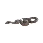 Snake, Anaconda, Rubber Toy Hand Painted Realistic Model, 4" F430 B364