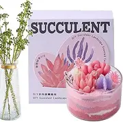 Candle Making Set - Beginner Candle Making Supplies,Delicate Plant Candles, Novelty Candles, Home Decorations, Arts and Crafts Helves