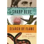 SHARP BLUE SEARCH OF FLAME