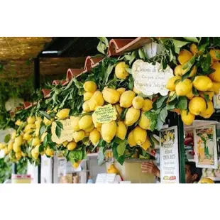 🔥現貨🔥義大利卡布里島TORCANERA檸檬糖