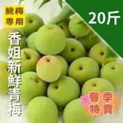 【春季特賣】信義鄉香姐新鮮青梅(20台斤)(脆梅專用)