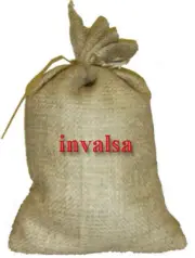 10 lbs SPECIALTY SOUTH AMERICAN BLEND 90-POINT DECAF GREEN COFFEE FREE SHIPPING