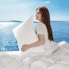 Hotel Collection Canadian White Goose Down Pillow Queen Size Set of 2-750+ Fi...