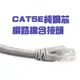 CAT.5E 純銅芯網路線 10m-CB2150