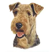 Airedale Terrier Tote Bag
