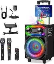 Karaoke Machine for Adults, Portable PA System Party Speaker with 2 Wireless Mi