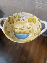 Shabby Chic Lemon Edge MELAMINE Serving Bowl 14.5 “ Wide W/Handles 4” Tall