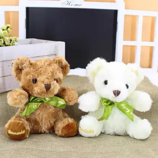 【台灣現貨】小熊毛絨玩具 抱抱熊 公仔 泰迪熊玩偶 生日禮物 抓機娃娃