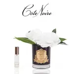 【法國 COTE NOIRE 寇特蘭】雙朵梔子花香氛花透明瓶＆黑瓶(附贈10ML 精油X1)