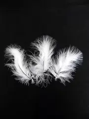 Marabou Feathers Confetti Hat Decor Weddings Many Colours Assorted Shades