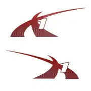 MasterCraft Boat Brand Decal Set 7501395 | 2011-12 X-1 Pro Tour Red