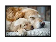 Dog Cute Babies Framed Print Fine Art Poster Print