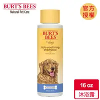 在飛比找ETMall東森購物網優惠-Burts Bees 小蜜蜂爺爺 金銀花酪梨沐浴露 16oz