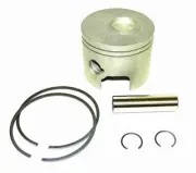 WSM Piston Kit For Mercury / Mariner 115 - 150 Hp 2.5L Optimax 2000 Starboard. .