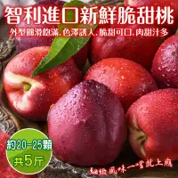 在飛比找PChome24h購物優惠-【WANG 蔬果】嚴選智利進口甜桃(5斤_約20-25顆)