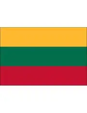 Lithuania 2' x 3' Indoor Polyester Flag
