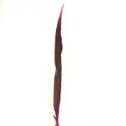 10" to 20" Golden Pheasant Side Tail Feather - Hot Pink ((SECONDS))