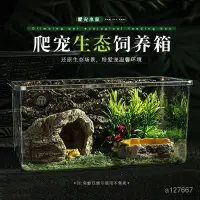 在飛比找蝦皮商城精選優惠-爬蟲飼養盒 壓剋力箱 透明爬蟲箱 壓剋力飼養盒箱 爬蟲飼養箱