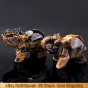 Natural Tiger's Eye Quartz Crystal Carved Baby Elephant Rare Reiki Stone Gift 5x