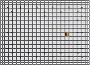 Safeguard XX-Large Cargo Net (XXSN-200)