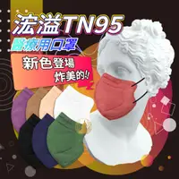 在飛比找蝦皮購物優惠-Hung Yi 浤溢 TN95 醫療用口罩 單片裝 口罩 N