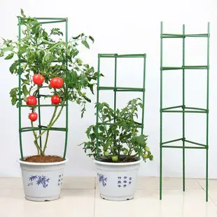 西紅柿架花卉支架番茄支架庭院植物包塑鋼管葡萄架月季花支架陽台 全館免運