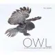 Owl: A Year in the Lives of North American Owls