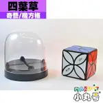 小丸號方塊屋【奇藝魔方格】四葉草方塊 CLOVER CUBE 12軸結構正六面體外形 異形魔術方塊