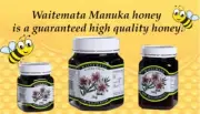DFF2U Waitemata Manuka Honey UMF 10+ (250G/8.8oz) New Zealand High Quality Honey