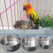 Bird Drinking Cup Pet Bird Supplies Ferret Cage Parrot Bowl Bird Food Feeder