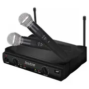 Boytone BT-42M, VHF Wireless Dual HandHeld Microphone System / caring Case