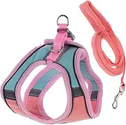 Long Pet Training Leash Kitten Escape Proof Vest Cats Harness Adjustable Harness for Pet Controlling Cat Collar