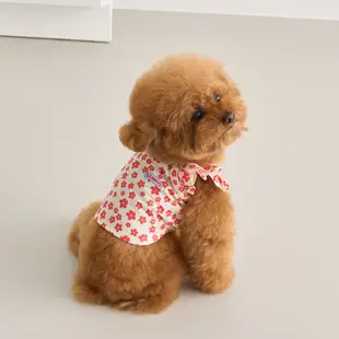 Benny's Puppy Melody 短款上衣