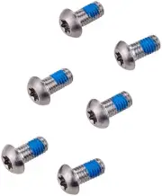 Disc Rotor Bolts - SRAM/ Avid T25 Rotor Bolt Kit, Titanium, Set of 6 - Disc