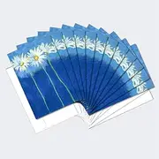 Tree-Free Greetings Daises on Blue Blank Boxed Note Cards with Envelopes, All Occasion (12 Count), Cute Floral Notecards for Flower Lovers, FS66585