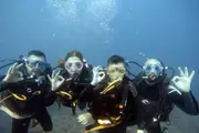 Introductory Dive Sunshine Coast Reefs - Mooloolaba