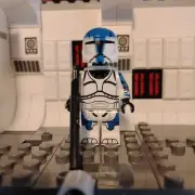 CUSTOM PAD PRINTED Lego Star Wars Commando Minifigure Clone Trooper Delta