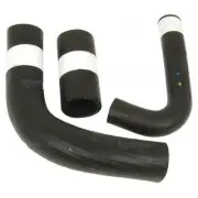 Ferguson TE20 TEA20 TED20 grey fergie Massey ferguson tractor Water Hose set