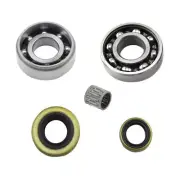 CRANKSHAFT BEARINGS PISTON PIN CAGE OIL SEALS FOR STIHL MS460 046 #9640 003 1355