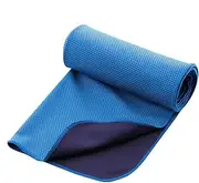 Cooling Towels for Neck and Face - Sweat Rags for Gym Quick Dry Workout Towels - Lightweight Cooling Neck Wraps Workout Cloth for Golf Fitness Cycling Swimming