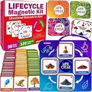 QUOKKA Life CycleToys for Kids - 30 Flashcards Toddler Science Kit Ages 2-4 - Pre-k Plant Animals Nature Learning Materials 3-5 - 120 Magnetic Flash Cards for Preschool and School