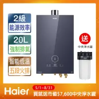 在飛比找momo購物網優惠-【Haier 海爾】20L五段火排強制排氣熱水器SA2基本安