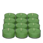 Garden Mint Universal Tealight Candles