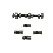 Polaris Camshaft Kit, Genuine OEM Part 2202918, Qty 1