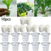 Reliable Plant Growth Solution 20pcs Mesh Pot Net Cup Basket for Hydroponics