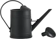 WeiLaiKeQi 2000ml Watering Pot Decorations Multipurpose with Detachable Spray Head Practical Long Nozzle Kettle for Yard Outdoor Bonsai Flowerpots Home, Black