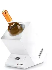 RoyalMade Electric Wine Chiller, Wine Bottle Chiller for 750ml Wine or Champagne